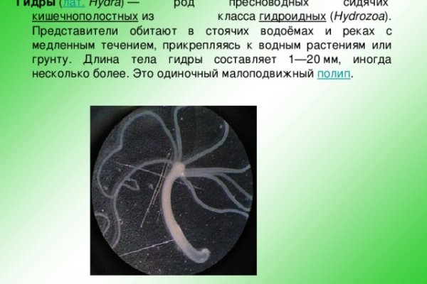 Кракен купить меф