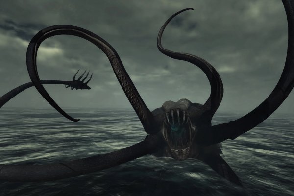 Kraken forum