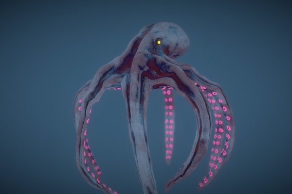Kraken 24at