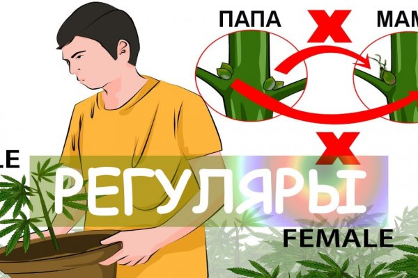 Кракен шоп что это