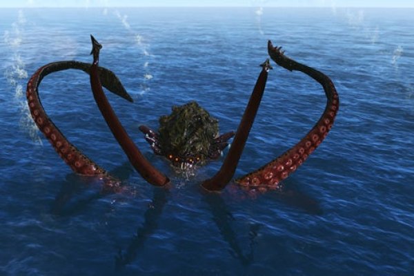 Kraken official