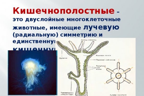 Кракен даркнет
