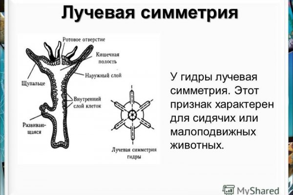 Как вывести с кракена